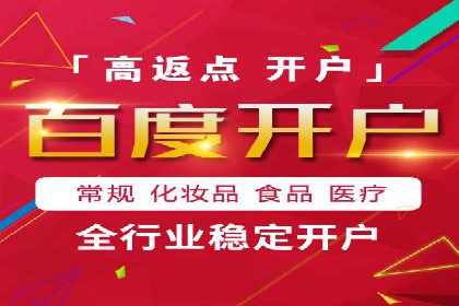 百度竞价推广运营策略：成功案例解析